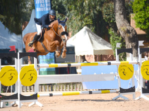 Equitation Marrakech