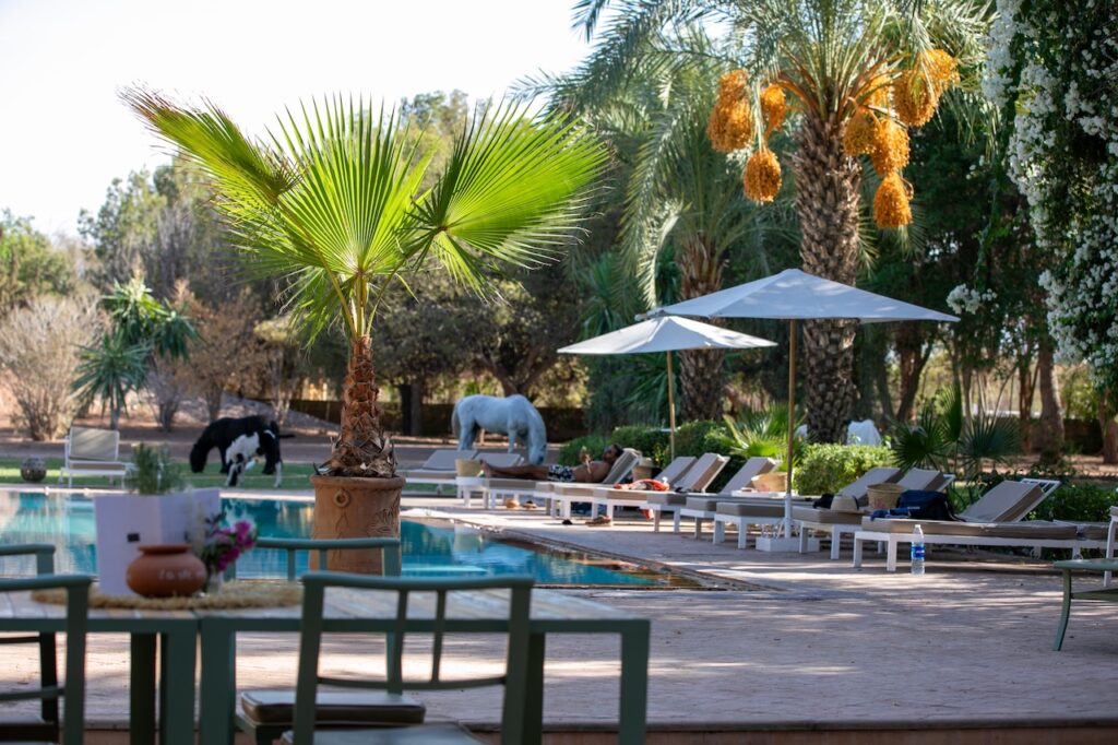 Cadre nature avec chevaux et piscine – La Vie en Rose Marrakech