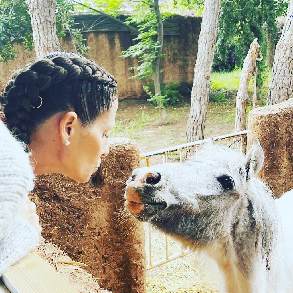 Vue extérieure de la cabane sur pilotis – La Vie en Rose Marrakech